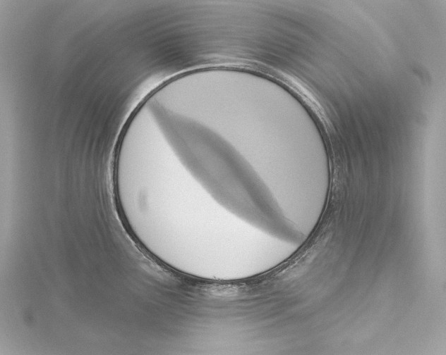 X0000115421291200912011319