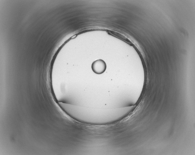 X0000115421293200912011319