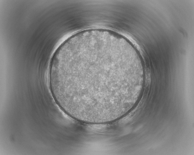 X0000115421294200912011319