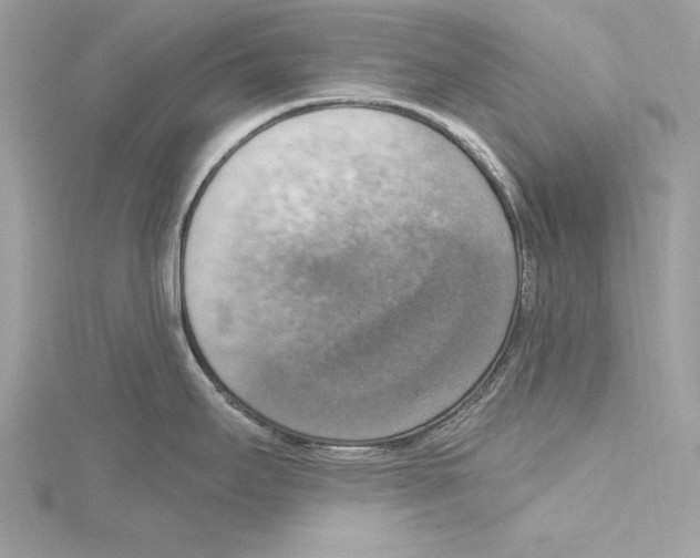 X0000115421295200912011319