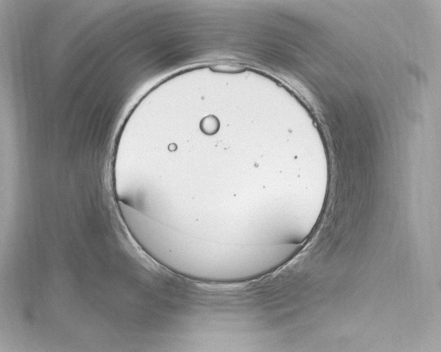 X0000115421296200912011319