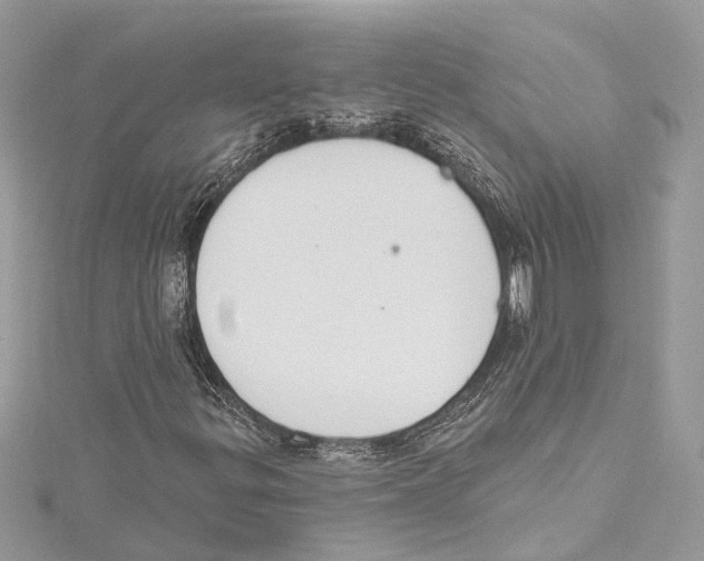 X0000115421299200912011318