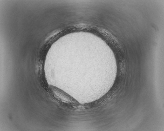 X0000115421302200912011318