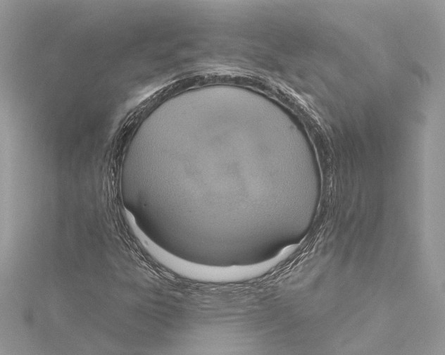 X0000115421303200912011318