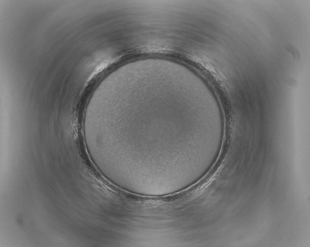 X0000115421306200912011318