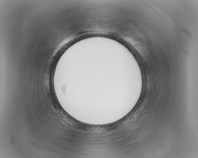 X0000115421307200912011319