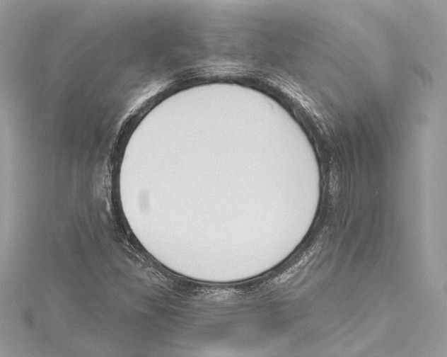 X0000115421309200912011319