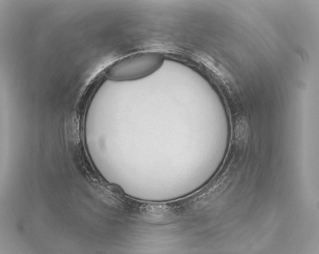 X0000115421310200912011319