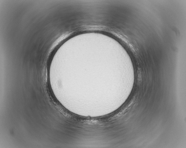 X0000115421317200912011319