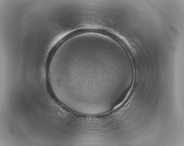 X0000115421319200912011319