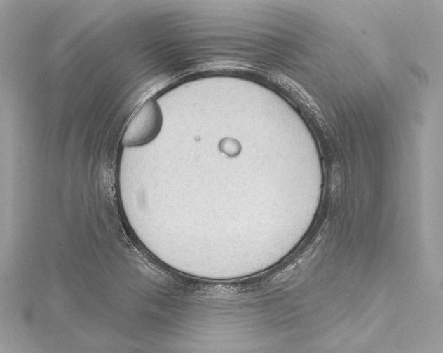 X0000115421321200912011319