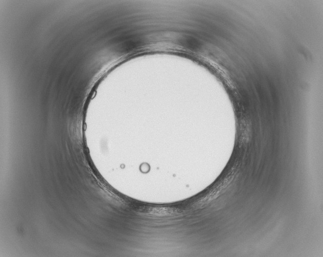 X0000115421322200912011319