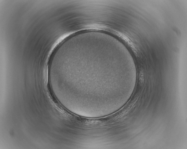 X0000115421323200912011319