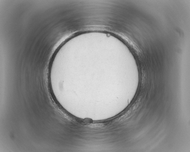 X0000115421325200912011319