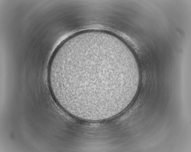 X0000115421326200912011319