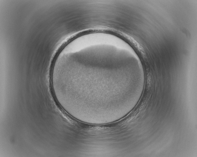 X0000115421327200912011319