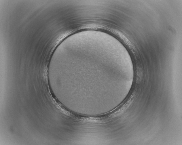 X0000115421329200912011319