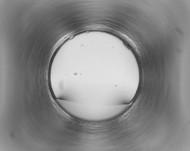 X0000115421330200912011319