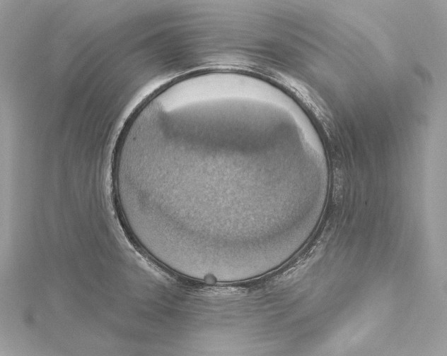 X0000115421331200912011319