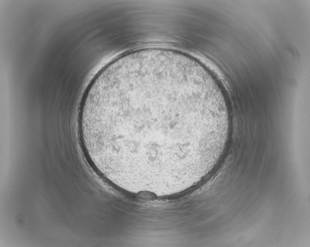 X0000115421333200912011319