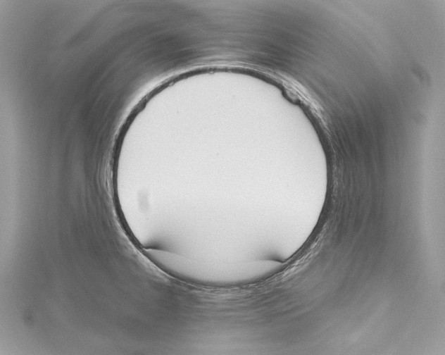 X0000115421334200912011319