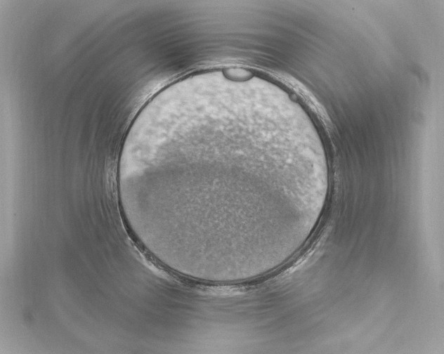 X0000115421337200912011319