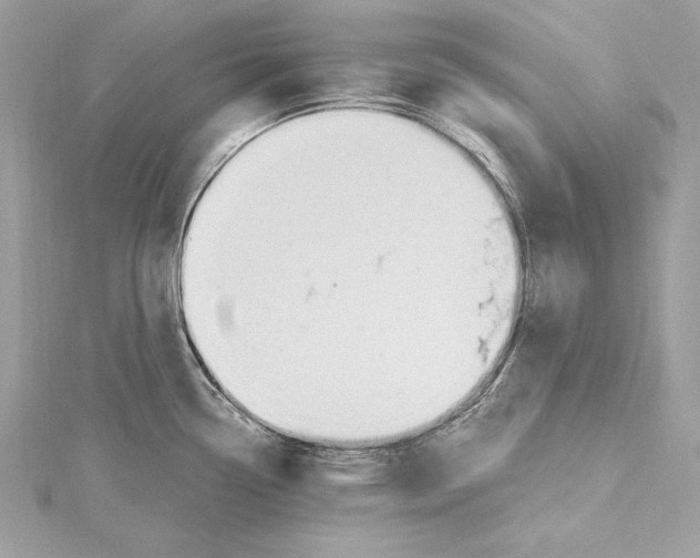 X0000115421338200912011319