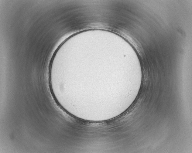 X0000115421339200912011319