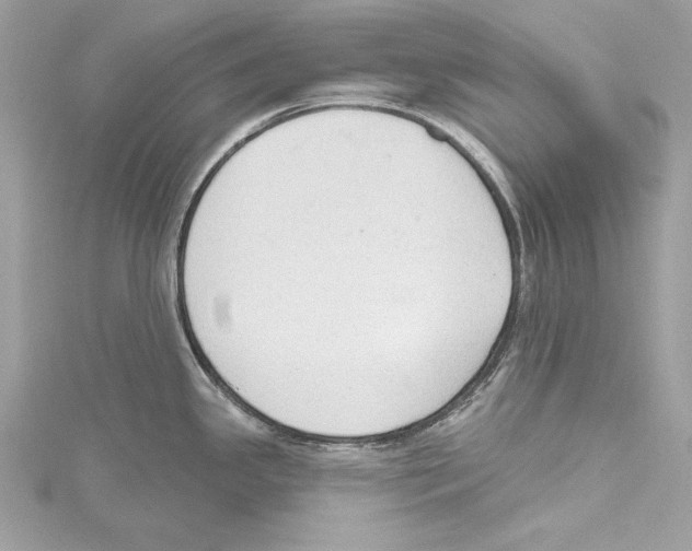 X0000115421341200912011319