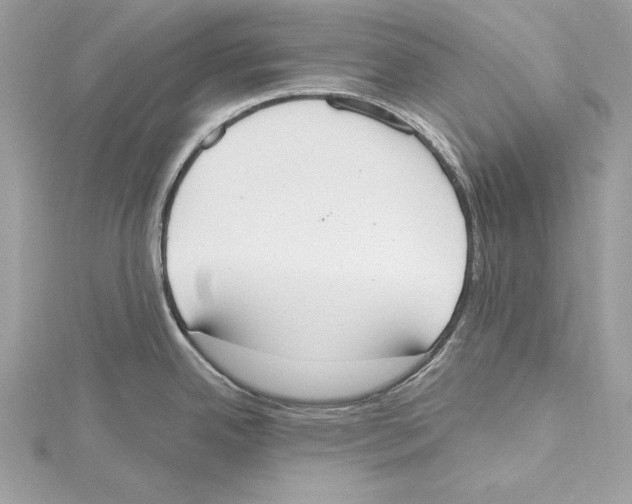 X0000115421342200912011319