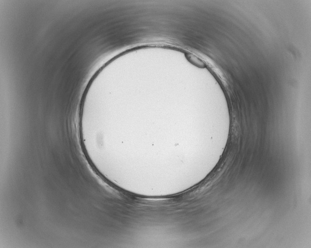 X0000115421343200912011319