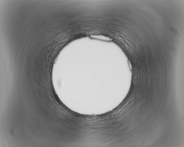 X0000115421345200912011318