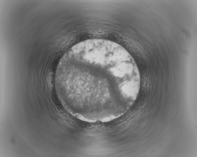 X0000115421346200912011318