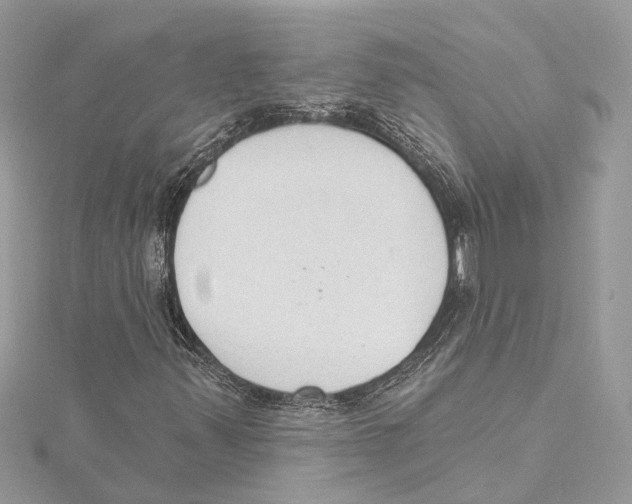 X0000115421347200912011318