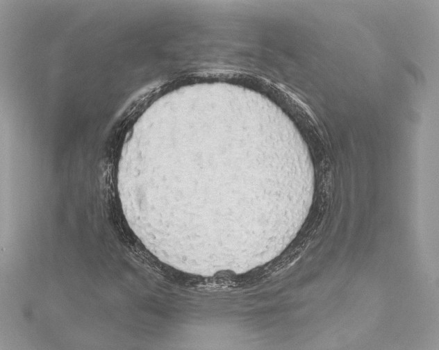 X0000115421351200912011318