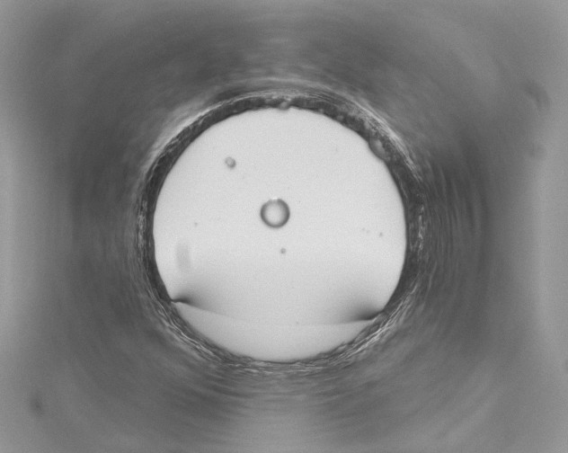 X0000115421352200912011318