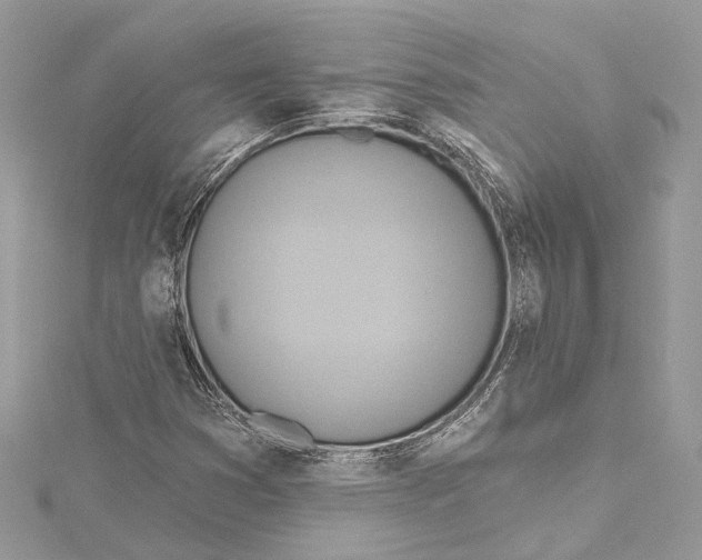 X0000115421353200912011318