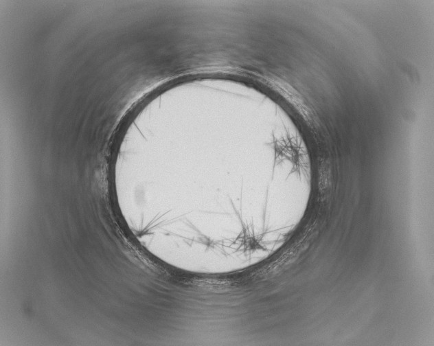 X0000115421356200912011318