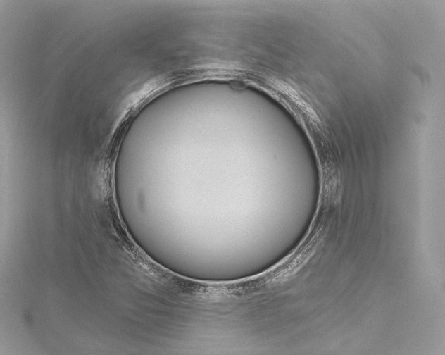 X0000115421357200912011318