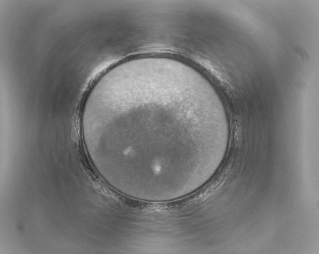 X0000115421358200912011318