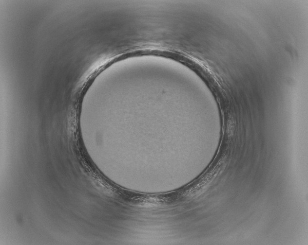 X0000115421359200912011318