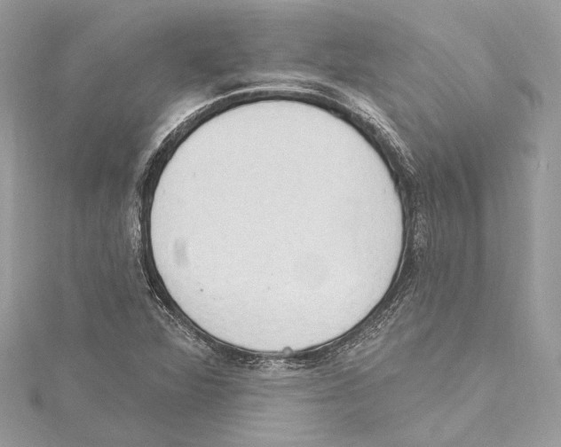 X0000115421360200912011318