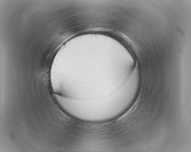 X0000115421361200912011318