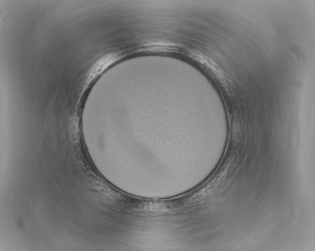 X0000115421362200912011318