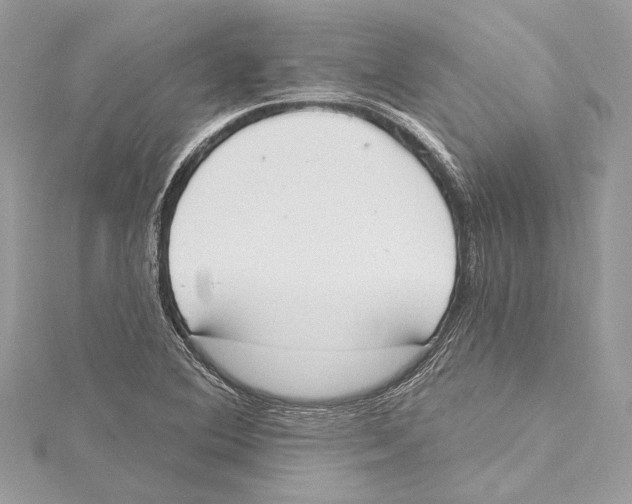 X0000115421364200912011318