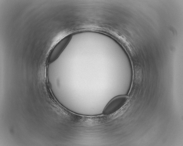 X0000115421365200912011318