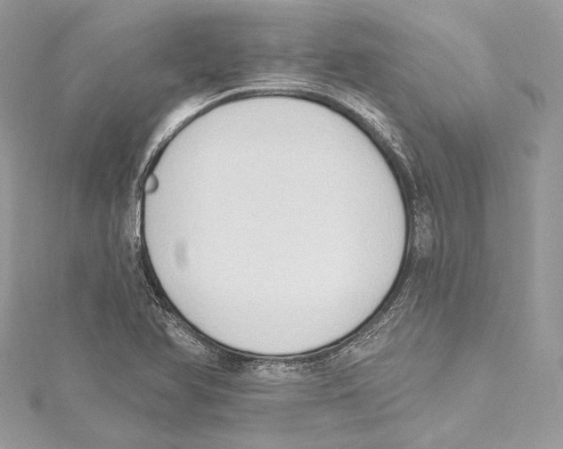 X0000115421366200912011318