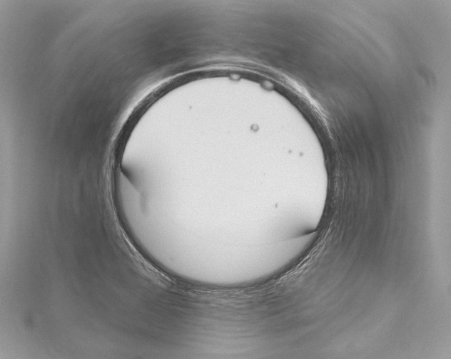 X0000115421368200912011318