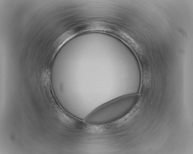 X0000115421369200912011318