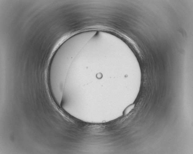 X0000115421373200912011318